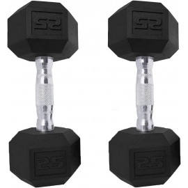 Dumbbells Set of 2 Exercise Fitness Dumbbell for Home Gym  Weights Hand Hex Dumb Bells