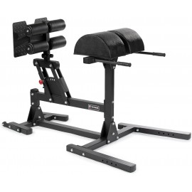 Titan Fitness Glute and Ham Developer (GHD), Cross Training Workout Lifting Equipment