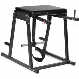 Titan Fitness Economy H-PND, Reverse Hyperextensions Lower Body Machine, Rated 700 LB, Specialty Home Gym Machine for Physical Therapy, Back Rehab Exercises, and Everyday Training